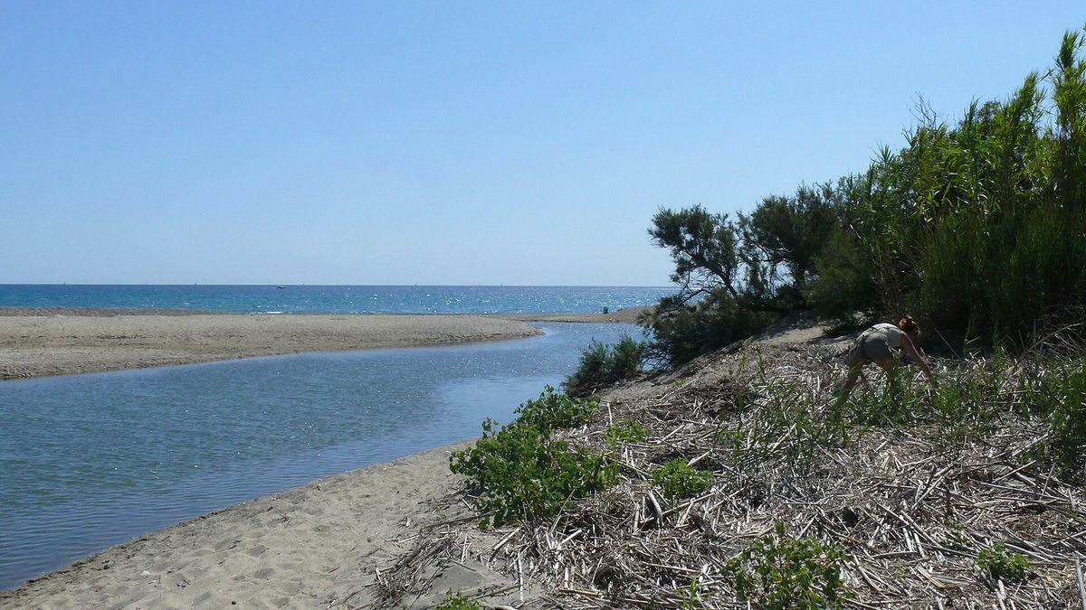 Mouth of the Tech river and sandbank in the Mas Larrieu nature reserve, north of Argelès-sur-Mer