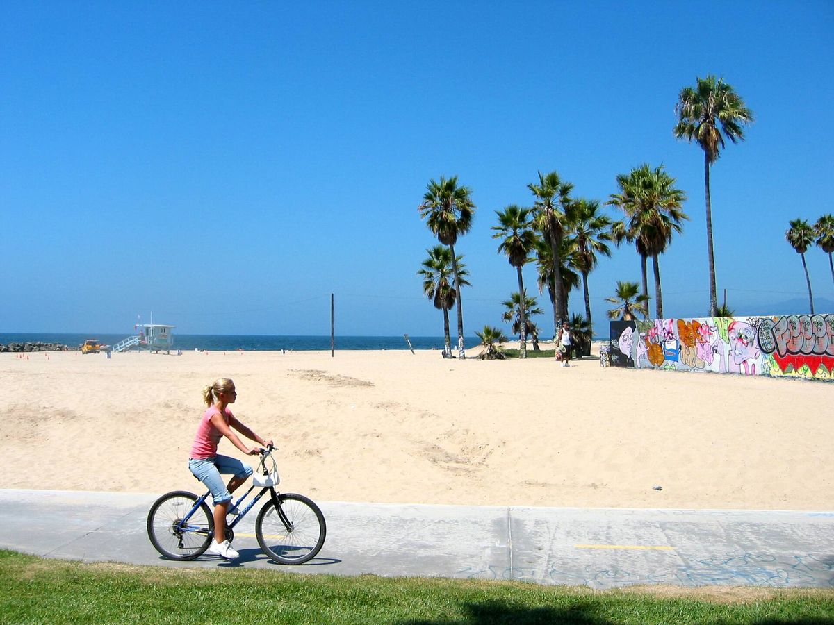 Cyclist on a cycle path running along a sandy beach lined with palm trees