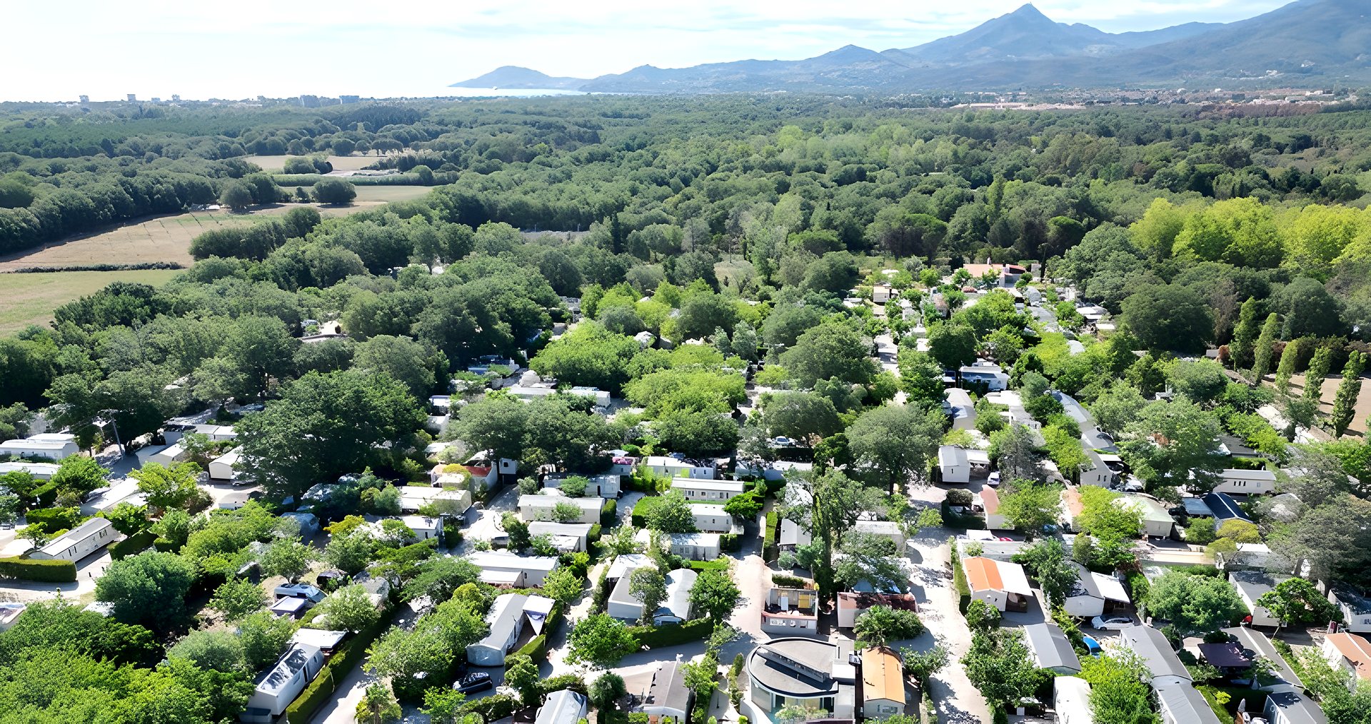 Luchtfoto van camping l'Étoile d'Or tussen de bomen, met de Albères aan de horizon