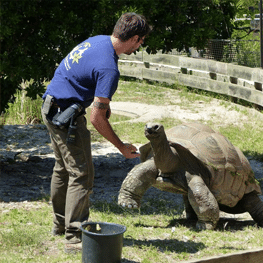 La vallée des tortues Argelès sur mer